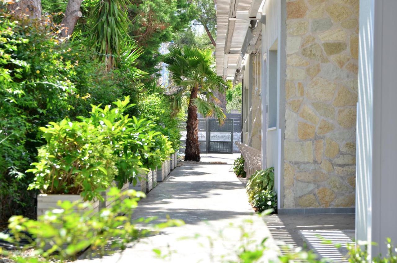 Alekos Luxury Free 24h Transportation From - To Airport Apartment *