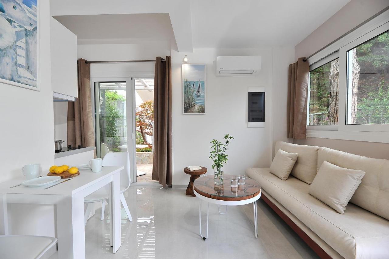 Alekos Luxury Free 24h Transportation From - To Airport Apartment *