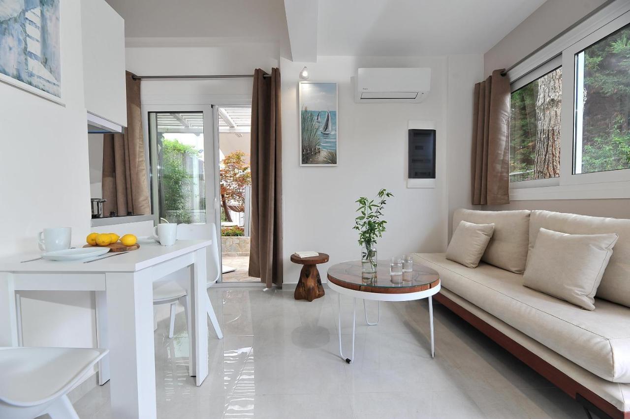 Apartment Alekos Luxury Free 24h Transportation From - To Airport *