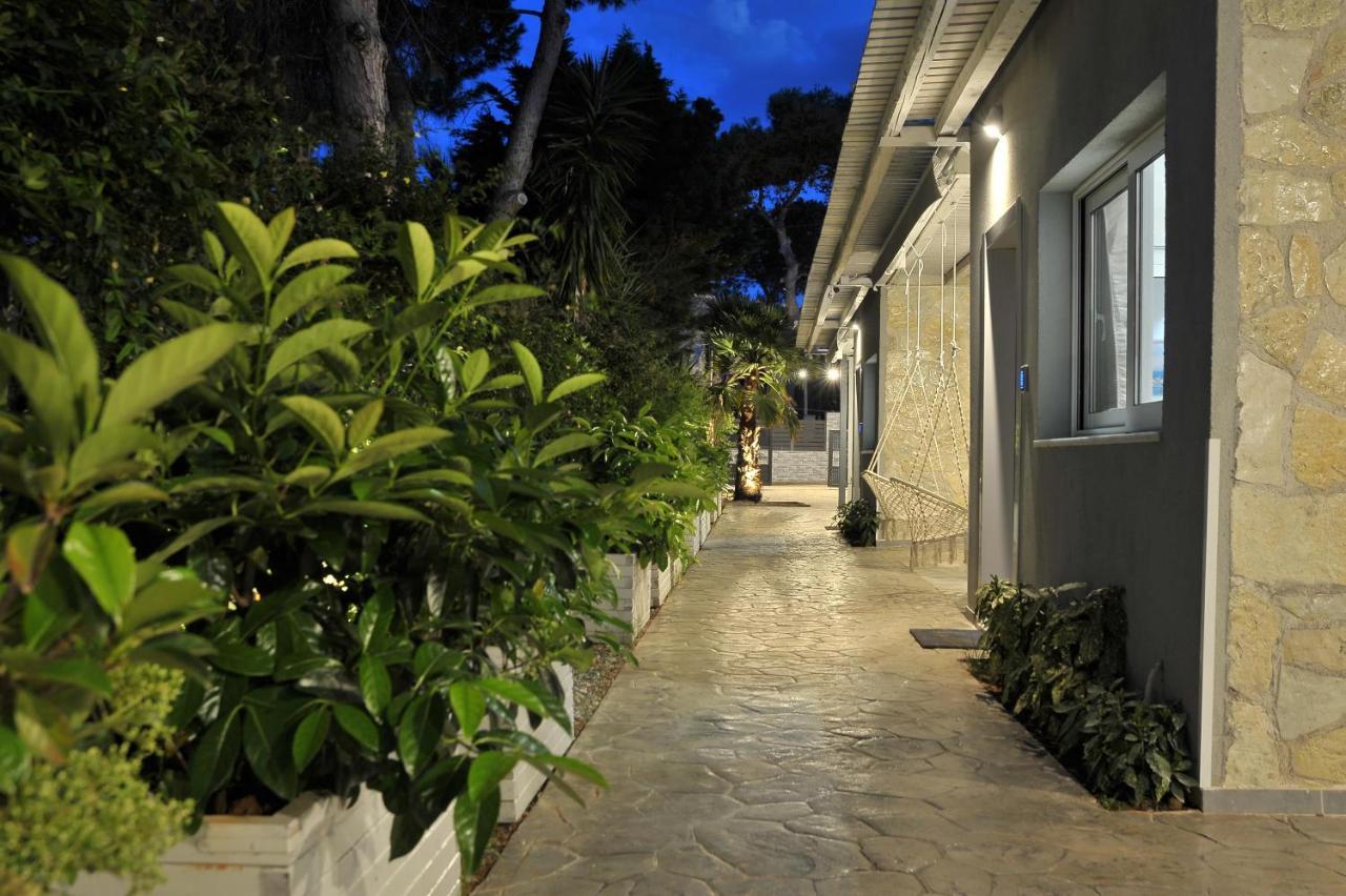 Alekos Luxury Free 24h Transportation From - To Airport