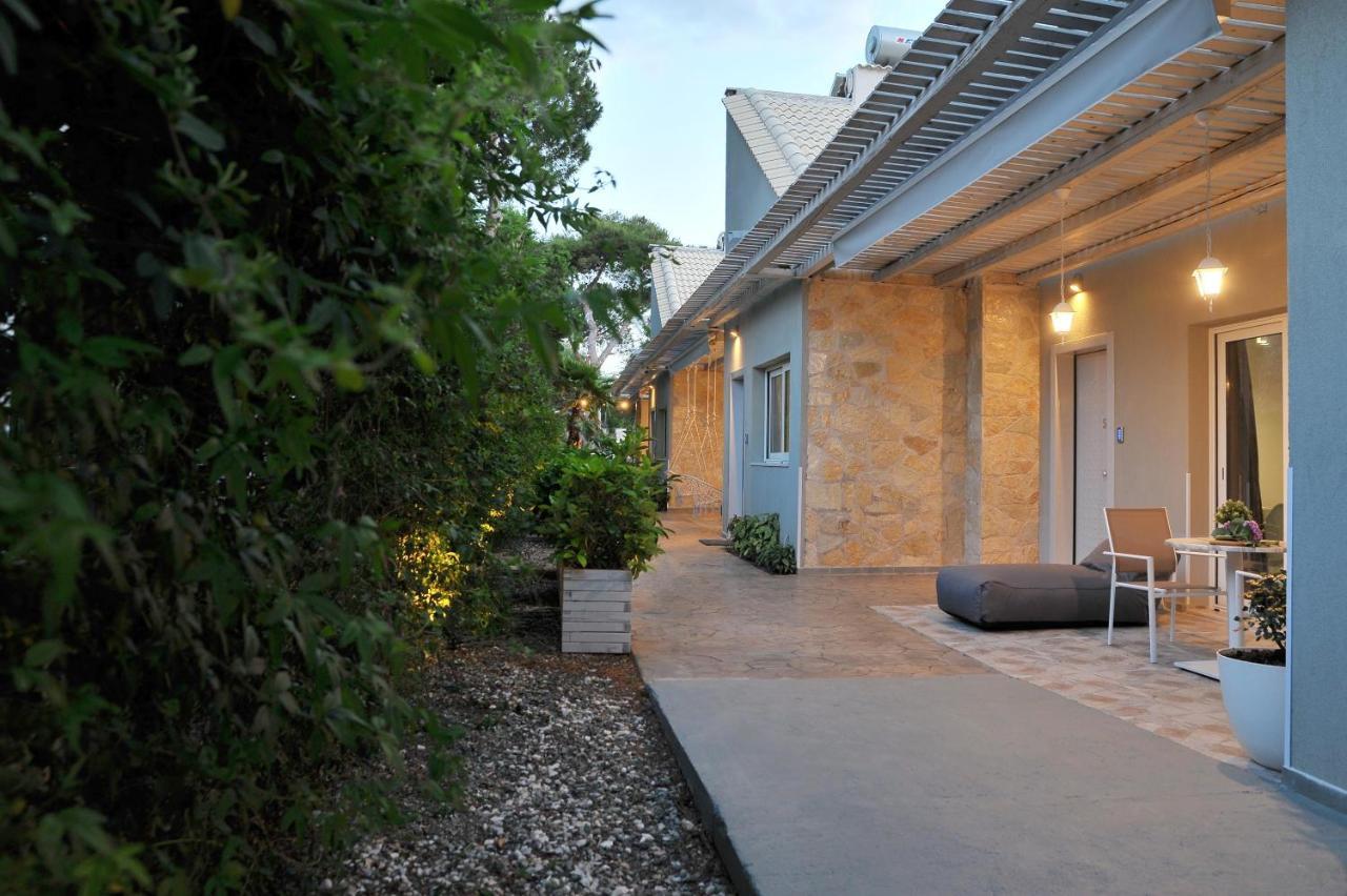 Apartment Alekos Luxury Free 24h Transportation From - To Airport