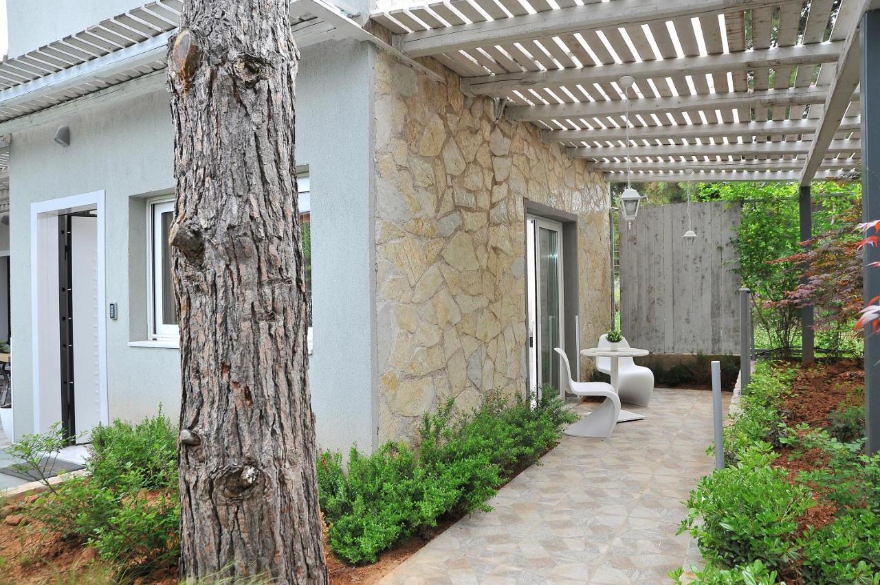 Alekos Luxury Free 24h Transportation From - To Airport Apartment