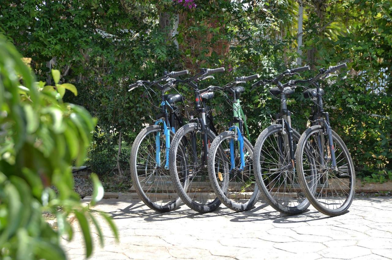 Apartment Alekos Luxury Free 24h Transportation From - To Airport *