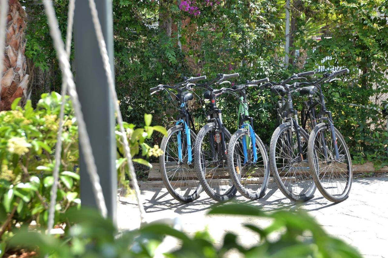 Alekos Luxury Free 24h Transportation From - To Airport Apartment Artemida (Attica)